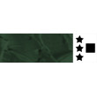 512 Hooker's Green Dark, farba akrylowa Phoenix Studio 100 ml