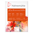 Blok akwarelowy Hahnemuhle CP Matt 36 x 48 cm, 300 g/m²