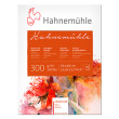 Blok akwarelowy Hahnemuhle CP Matt 30 x 40 cm, 300 g/m²