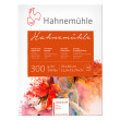 Blok akwarelowy Hahnemuhle CP Matt 30 x 40 cm, 300 g/m²
