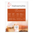 Blok akwarelowy Turner Hahnemuhle CP 24 x 32 cm, 300 g/m²