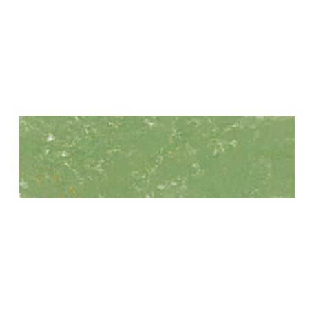 173 Moss Grey Green, Pastel Pencil Sennelier