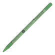 173 Moss Grey Green, Pastel Pencil Sennelier
