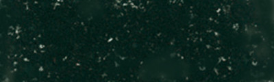 179 Black Green, Pastel Pencil Sennelier