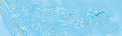 261 Cerulean Blue Hue, Pastel Pencil Sennelier