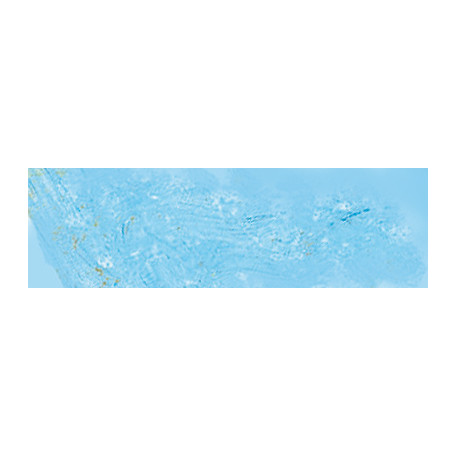 261 Cerulean Blue Hue, Pastel Pencil Sennelier