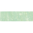 351 Cinereous Green, Pastel Pencil Sennelier