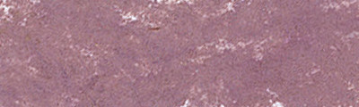 444 Violet Brown Lake, Pastel Pencil Sennelier