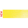 230.5 PanPastel Primary Yellow 9 ml