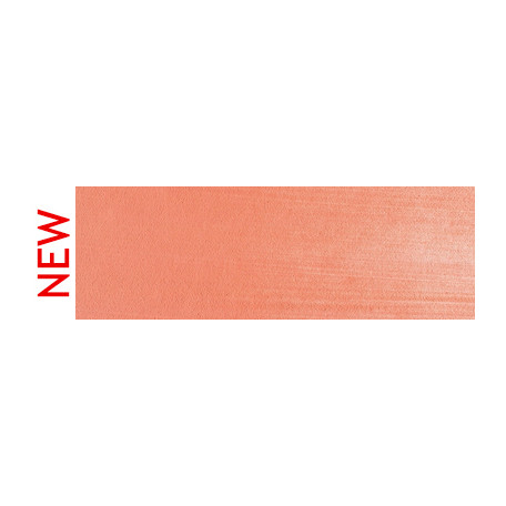 310.6 PanPastel Vermilion Medium 9 ml