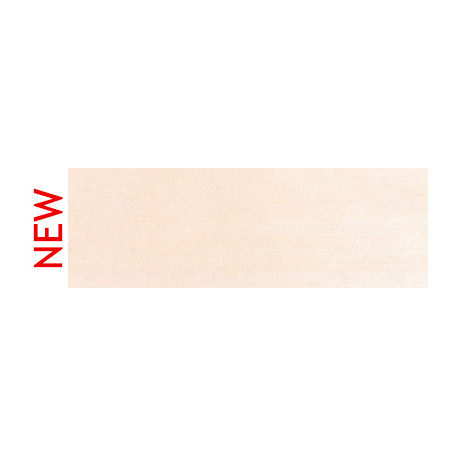 310.8 PanPastel Vermilion Tint 9 ml