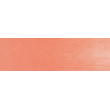 310.6 PanPastel Vermilion Medium 9 ml