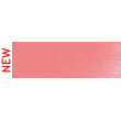 340.7 PanPastel Permanent Red Light 9 ml