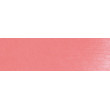 340.7 PanPastel Permanent Red Light 9 ml