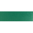 570.3 PanPastel Teal Shade 9 ml