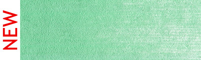 640.7 PanPastel Permanent Green Light 9 ml