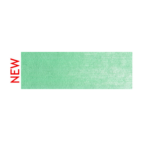 640.7 PanPastel Permanent Green Light 9 ml