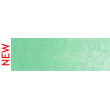640.7 PanPastel Permanent Green Light 9 ml