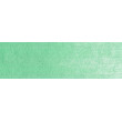640.7 PanPastel Permanent Green Light 9 ml