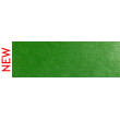 670.3 PanPastel Blue Green Shade 9 ml