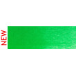 670.5 PanPastel Blue Green 9 ml
