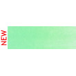 670.8 PanPastel Blue Green Tint 9 ml