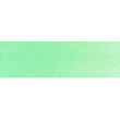 670.8 PanPastel Blue Green Tint 9 ml