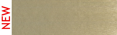 780.7 PanPastel Raw Umber Light 9 ml