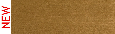 710.3 PanPastel Raw Sienna Shade 9 ml