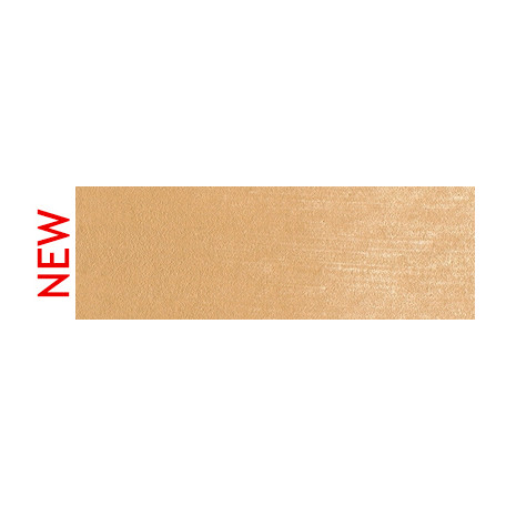 710.7 PanPastel Raw Sienna Light 9 ml