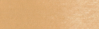 710.7 PanPastel Raw Sienna Light 9 ml