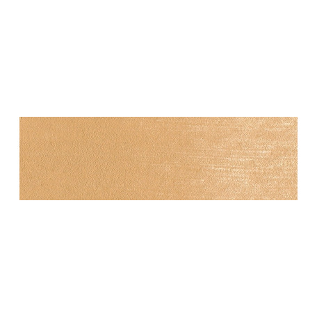 710.7 PanPastel Raw Sienna Light 9 ml