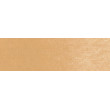 710.7 PanPastel Raw Sienna Light 9 ml