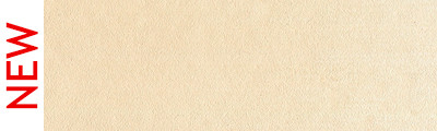 710.8 PanPastel Raw Sienna Tint 9 ml