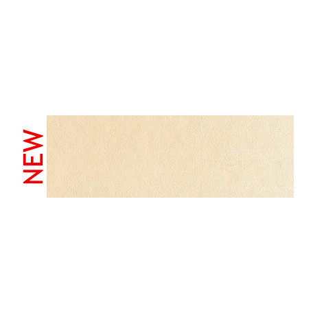 710.8 PanPastel Raw Sienna Tint 9 ml