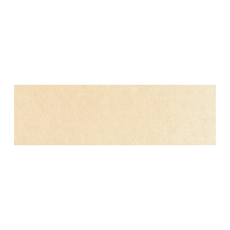 710.8 PanPastel Raw Sienna Tint 9 ml