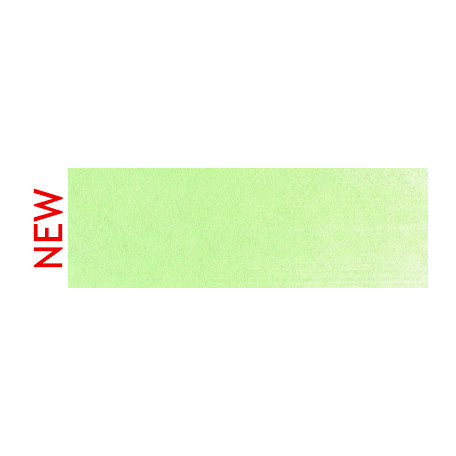 690.8 PanPastel Yellow Green Tint 9 ml