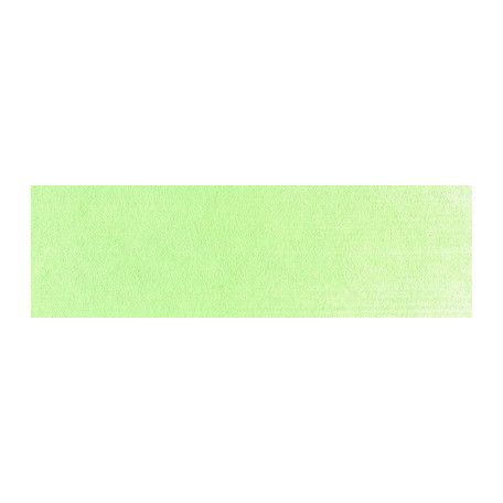 690.8 PanPastel Yellow Green Tint 9 ml