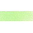 690.8 PanPastel Yellow Green Tint 9 ml