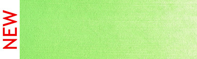 690.7 PanPastel Yellow Green Light 9 ml