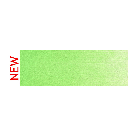 690.7 PanPastel Yellow Green Light 9 ml