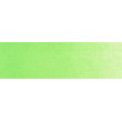 690.7 PanPastel Yellow Green Light 9 ml
