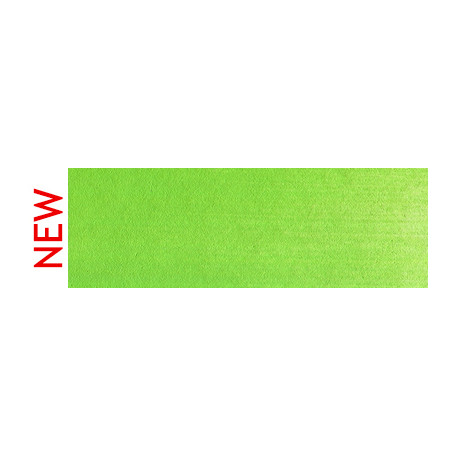 690.5 PanPastel Yellow Green 9 ml