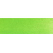 690.5 PanPastel Yellow Green 9 ml