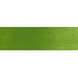 690.3 PanPastel Yellow Green Shade 9 ml