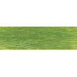 5100 Moss Green, DRAWING Derwent