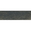 6720 Forest, DRAWING Derwent