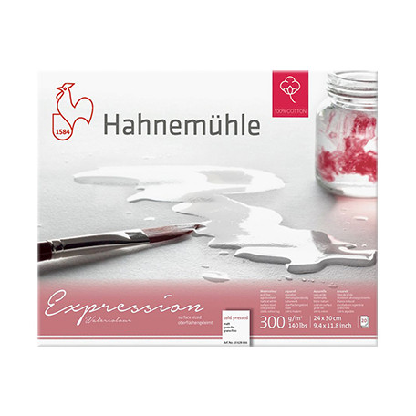 Blok akwarelowy Expression CP Hahnemuhle 24 x 30 cm