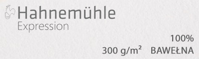 Papier akwarelowy Expression CP 300 g/m² 50 x 65 cm, 10 ark.