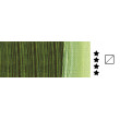 506 Sap Green, farba olejna Akademie Schmincke, 200 ml